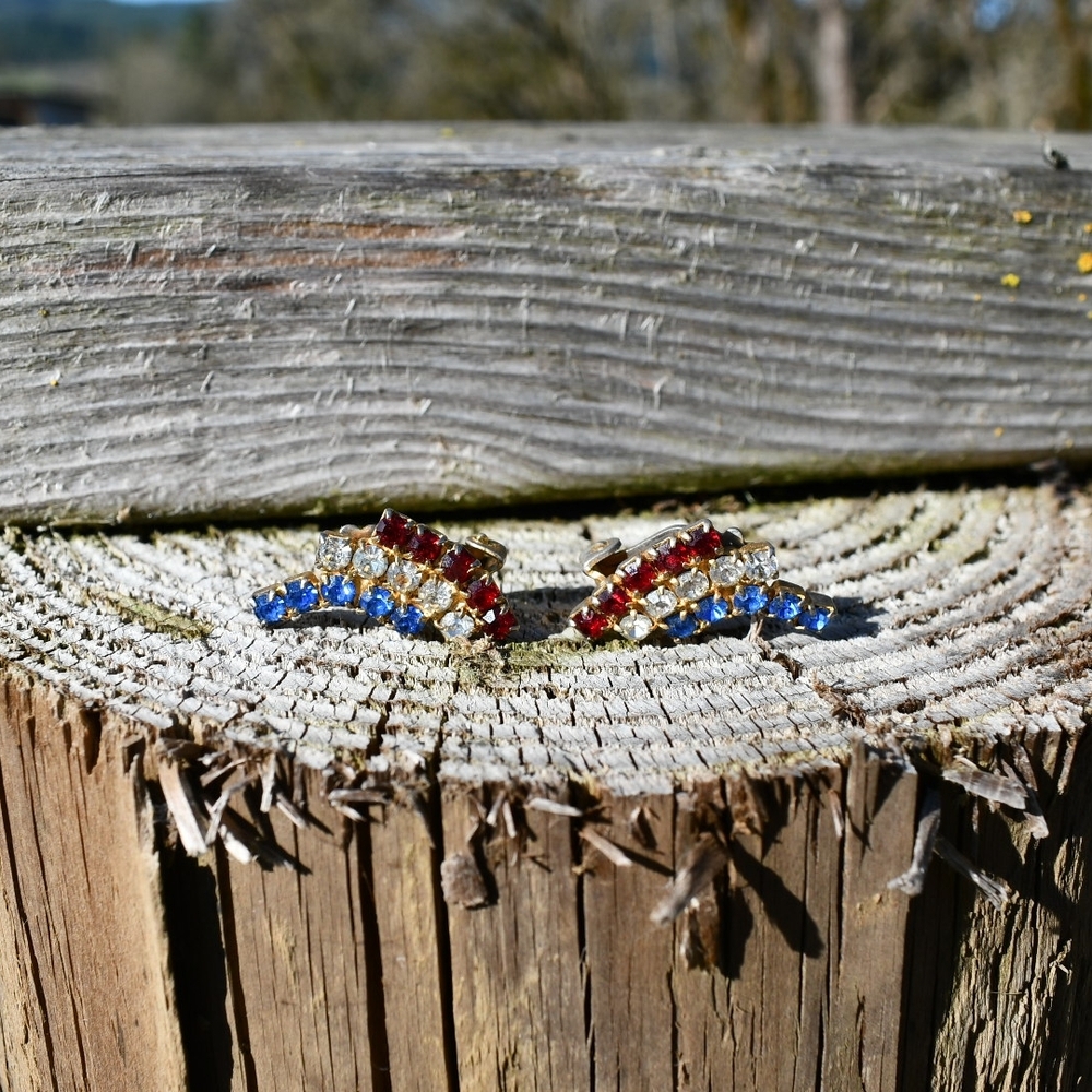 Red and Blue Crystal Earrings